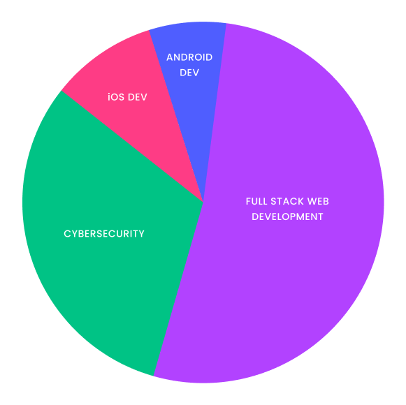 IRS_Piechart